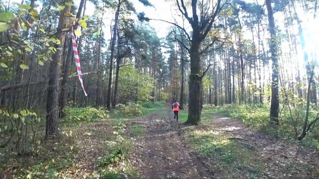 БЛИЗКО ТРЕЙЛ / 2020 / BLIZKO TRAIL смотреть онлайн