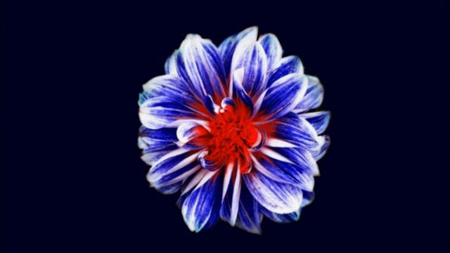Mikko Tapio - Keurusselän sini смотреть онлайн