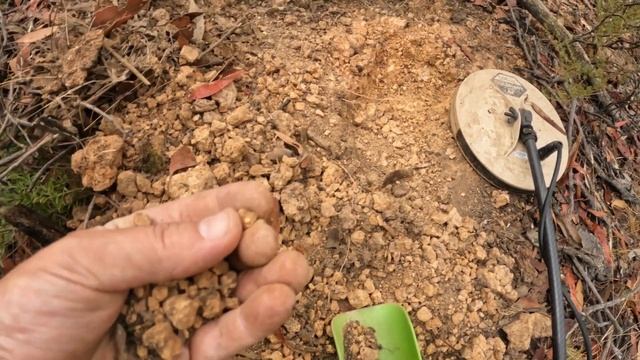 Minelab GPX 6000 featuring the Coiltek 9" Goldhawk - Nursery Patch смотреть онлайн