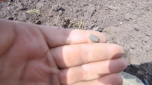 Поиск с Эквинокс 800. Чешуйчатое поле. смотреть онлайн