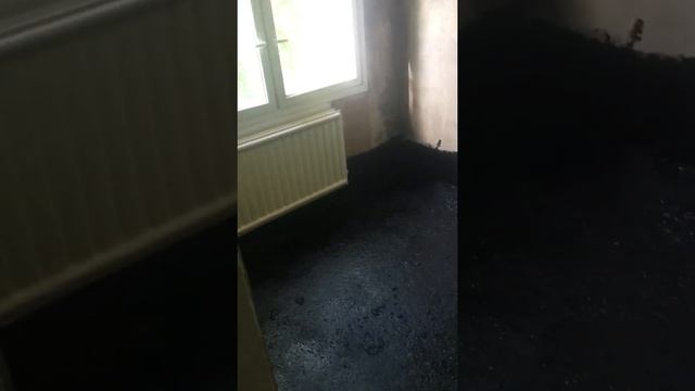 Ремонт квартир под ключ спб смотреть онлайн