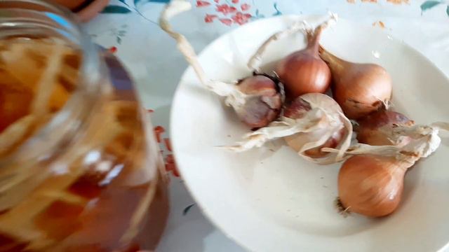 ✅Cam güzeli Çiçeği Bakımı✅ Difem Bahya Çiçeği ✅Çiçek Bakımı ✅Çiçek Coşturan✅ смотреть онлайн