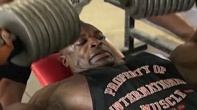 Chest Day - A Meme Experience