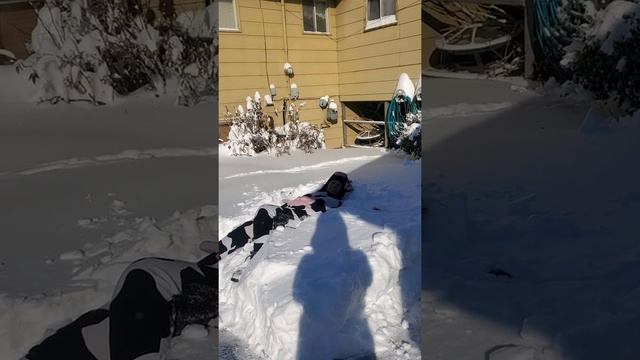 How to Enjoy Snowmageddon 2020 смотреть онлайн
