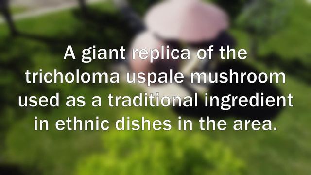 Vilna Mushrooms смотреть онлайн