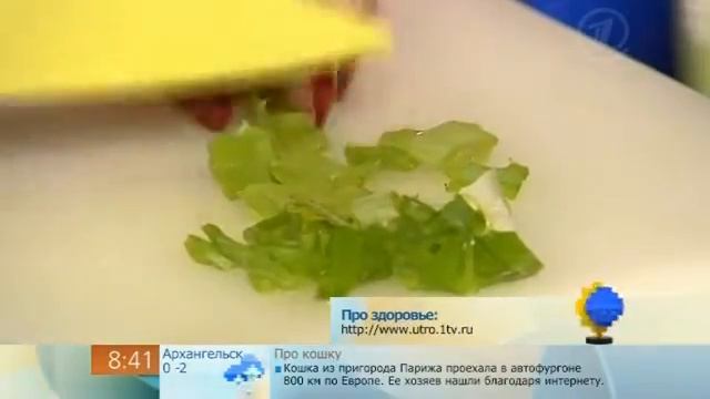 Про целебные свойства алое смотреть онлайн