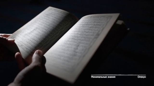 Урок 9. Минимальные знания- Обязанности опекуна смотреть онлайн