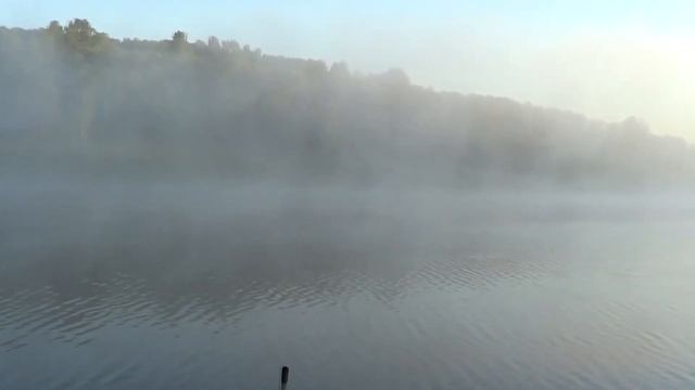 Рыбалка на коммерческом водоёме "Высокий" 3 июня 2018г.(в данном видео рыбы нет((() смотреть онлайн