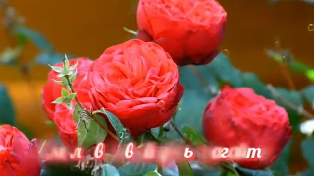 С ДОБРЫМ УТРОМ!?С НОВЫМ ДНЁМ!? смотреть онлайн