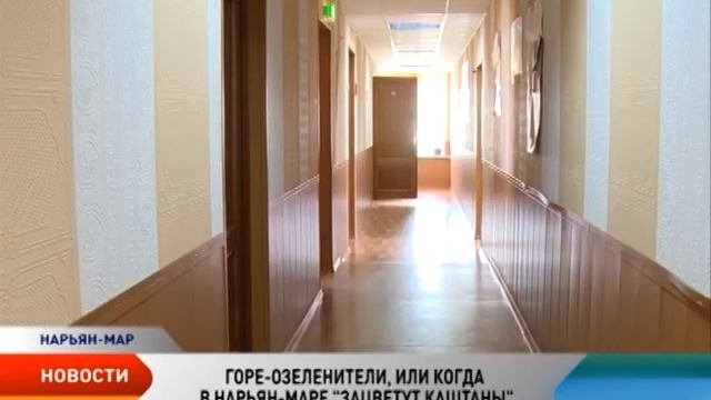 Цветочная неразбериха. Кто и когда будет озеленять Нарьян-Мар? смотреть онлайн