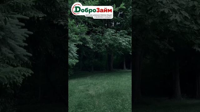 Лесная эстетика