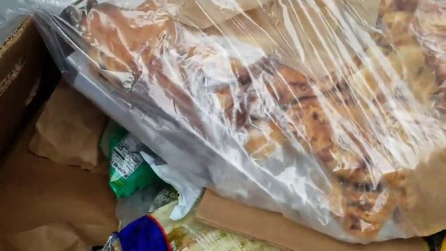 DUMPSTER DIVING ALDI DAILY VIDEO #9