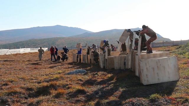 На остров Завьялова в Магаданской области привезли новую партию телят овцебыков из Якутии смотреть онлайн