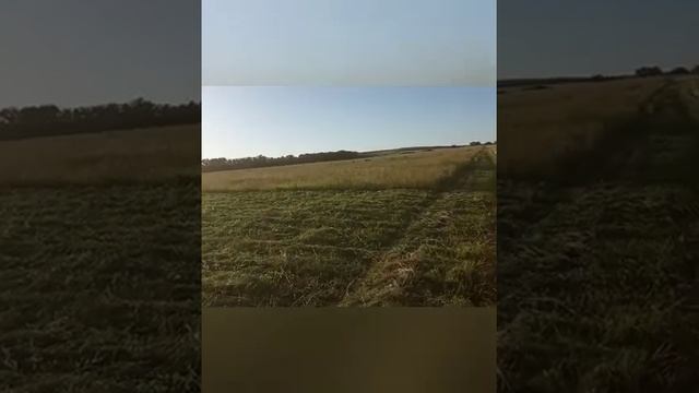 Доработки косы "Заря" смотреть онлайн