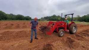 Посадка голубики в Америке