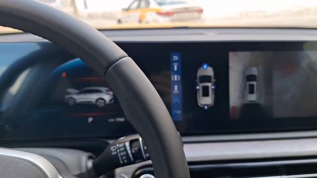 Радость животных