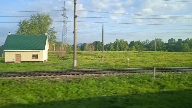 амурский странник.