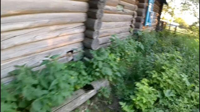 Наши помидоры. #72 смотреть онлайн