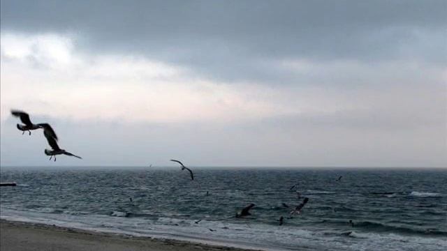Осеннее очарование - The Charm Of Autumn