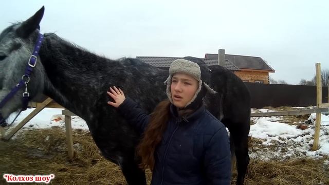 К нам приезжал коваль/Расчистка копыт у лошади/Жизнь в деревне смотреть онлайн