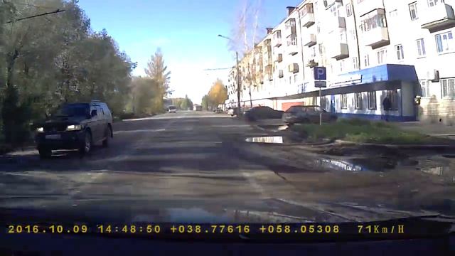 Собака бежала через дорогу смотреть онлайн