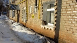 Отпугиватель собак ультразвуковой. Честное тестирование