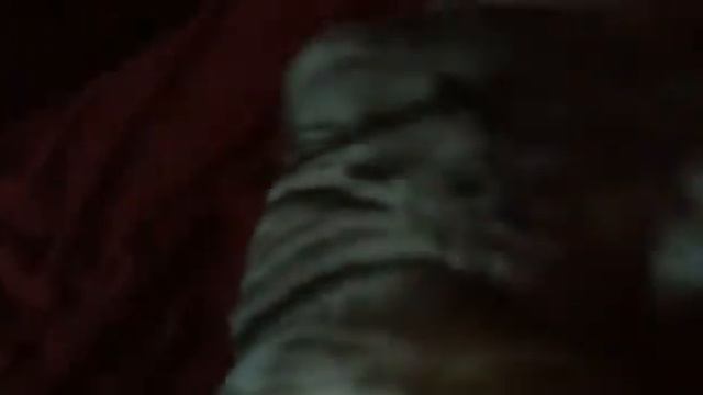 Кот Мурчит смотреть онлайн