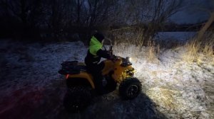 Выходные на квадроциклах с сыном. Обзор Motoland Wild X 125 после 300 км пробега