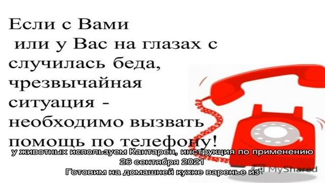 Удивительный рутарий – сад корней на вашем участке смотреть онлайн