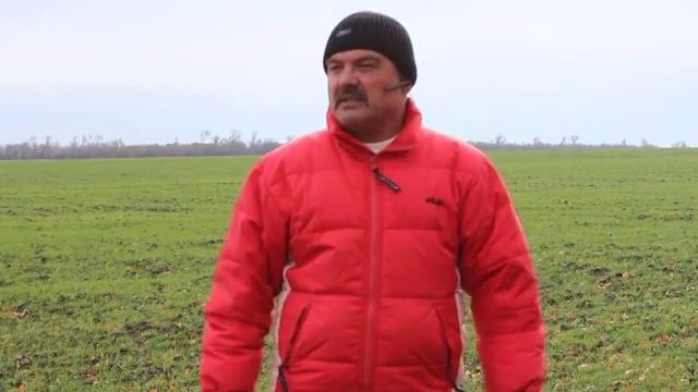 Препараты для обработки семян Вымпел-К и Оракул семена - реальная прибавка к урожаю! смотреть онлайн