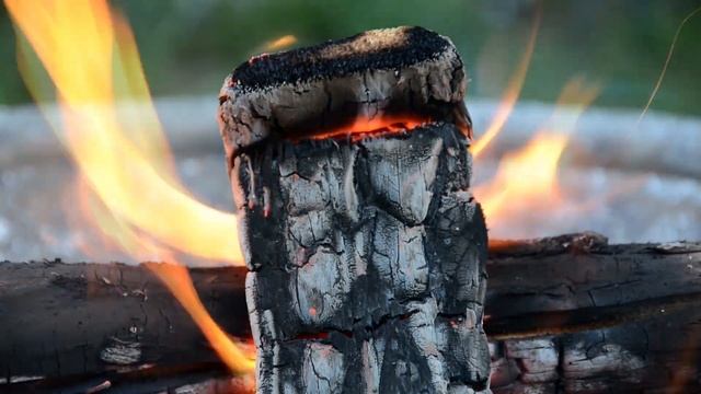 Первая Помощь при Разных Видах Отравлений. Что Делать? смотреть онлайн