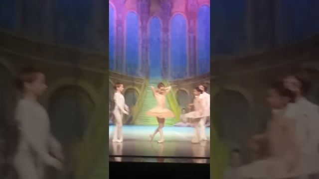 Элина Журок "Щелкунчик" Фея -Драже смотреть онлайн