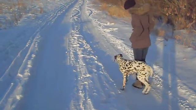 ЦА Глориоза Лилу смотреть онлайн