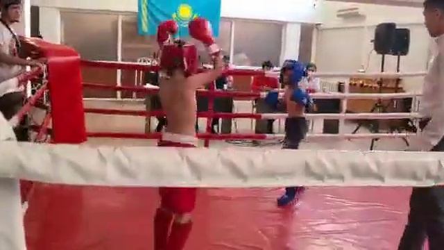 Али М бокс Коблан Исмаил 1 бой смотреть онлайн