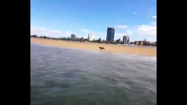 Да что ты знаешь о скорости?! Приколы до слез смотреть онлайн