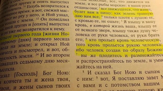 1217.Закон Божий.Не кушайте кровь и продукты с ней. #еда #рецепты #мессия#грядущий царь #матьмира смотреть онлайн