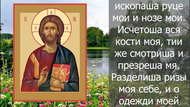 СЕГОДНЯ НЕ ПРОПУСТИ ЭТУ МОЛИТВУ, НОЧЬ ИСЦЕЛЕНИЯ ! Вечерняя молитва Господу Богу смотреть онлайн