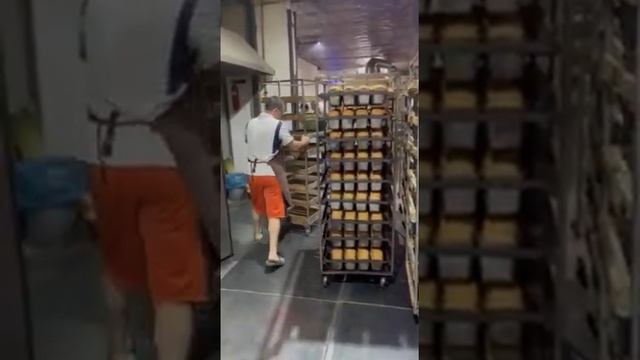 LIDER 300 - ротационная печь КУМКАЯ (KUMKAYA) на 2 тележки и 32 противня! смотреть онлайн