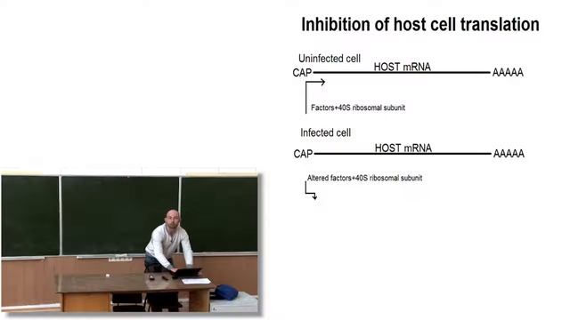 Лекция 9 Центральная догма молекулярной биологии Теория РНК мира РНК в клетке смотреть онлайн