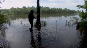 ЛОВЛЯ СУДАКА НА ФИДЕР/ХОРОШИЙ КЛЁВ!