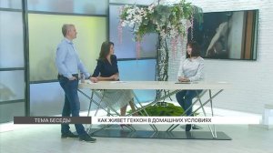 Геккон дома: содержание и уход