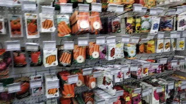 (192)  Любовь всей моей жизни - стеклянные банки!