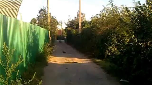 Бульдозер и коробка на три скорости смотреть онлайн