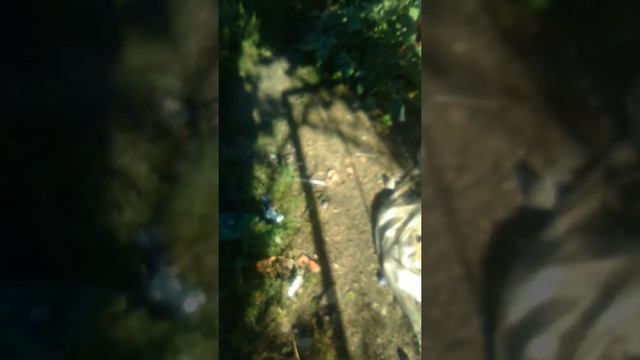 Дом из пищевой плёнки