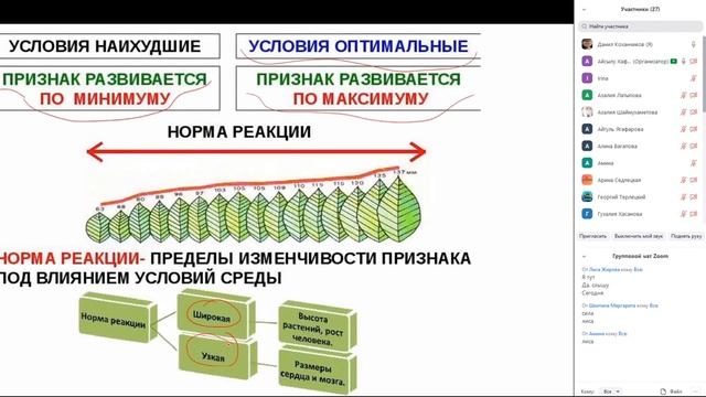 Урок "Модификационная изменчивость. Построение вариационного ряда и вариационной кривой" смотреть онлайн