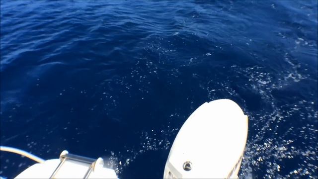 How to: Catch Dorado, Dolphin Fish, Mahi | The Hook and The Cook смотреть онлайн