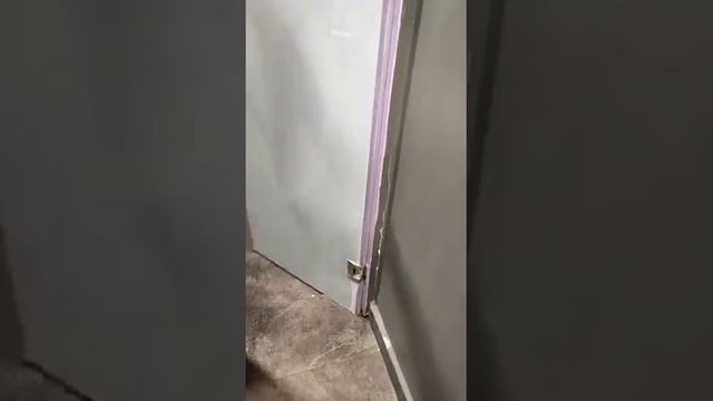 steam bath смотреть онлайн