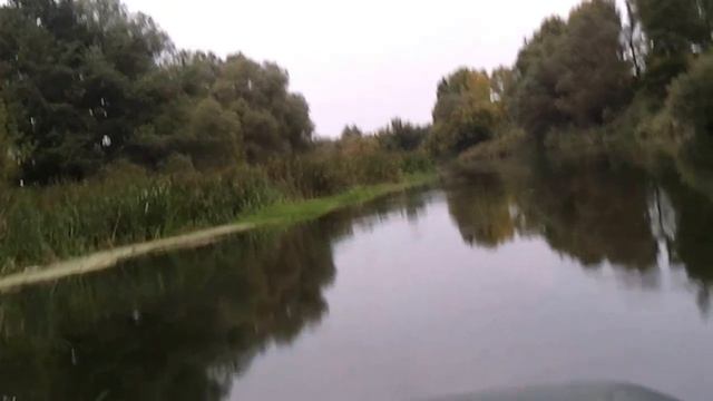 Мощность лодочного мотора HDX 5