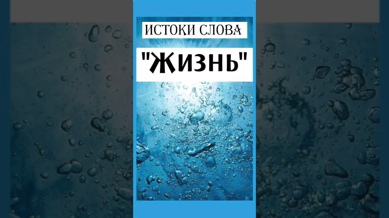 Откуда пошли истоки слова ЖИЗНЬ