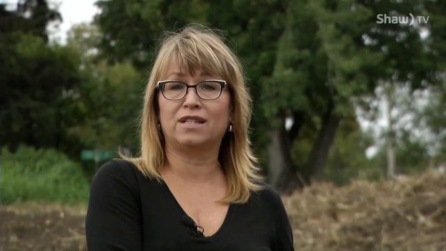 No Consultation on Tree Clearing смотреть онлайн